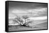 White Sands National Monument, New Mexico-Rob Sheppard-Framed Stretched Canvas