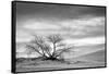 White Sands National Monument, New Mexico-Rob Sheppard-Framed Stretched Canvas