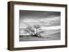 White Sands National Monument, New Mexico-Rob Sheppard-Framed Photographic Print
