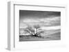 White Sands National Monument, New Mexico-Rob Sheppard-Framed Photographic Print