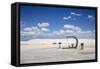 White Sands National Monument, New Mexico-Ian Shive-Framed Stretched Canvas