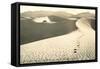 White Sands National Monument, New Mexico-null-Framed Stretched Canvas