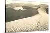 White Sands National Monument, New Mexico-null-Stretched Canvas