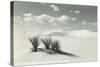 White Sands National Monument, New Mexico-null-Stretched Canvas