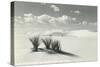 White Sands National Monument, New Mexico-null-Stretched Canvas