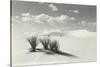 White Sands National Monument, New Mexico-null-Stretched Canvas