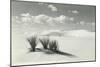 White Sands National Monument, New Mexico-null-Mounted Art Print