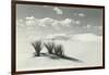 White Sands National Monument, New Mexico-null-Framed Art Print