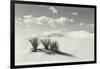 White Sands National Monument, New Mexico-null-Framed Art Print