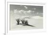 White Sands National Monument, New Mexico-null-Framed Art Print