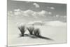 White Sands National Monument, New Mexico-null-Mounted Art Print