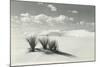 White Sands National Monument, New Mexico-null-Mounted Art Print