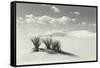 White Sands National Monument, New Mexico-null-Framed Stretched Canvas