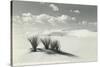 White Sands National Monument, New Mexico-null-Stretched Canvas