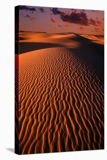 White Sands National Monument-Danny Lehman-Stretched Canvas