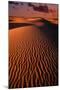 White Sands National Monument-Danny Lehman-Mounted Photographic Print