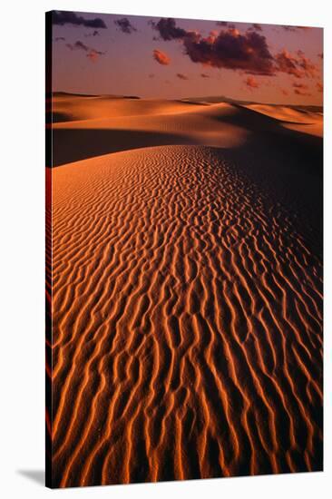 White Sands National Monument-Danny Lehman-Stretched Canvas