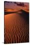 White Sands National Monument-Danny Lehman-Stretched Canvas