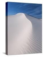 White Sands, New Mexico, USA-Dee Ann Pederson-Stretched Canvas