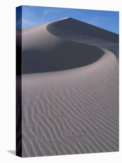 White Sands, New Mexico, USA-Dee Ann Pederson-Stretched Canvas