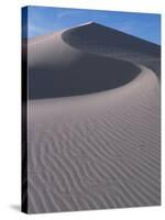 White Sands, New Mexico, USA-Dee Ann Pederson-Stretched Canvas