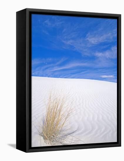 White Sands, New Mexico, USA-Rob Tilley-Framed Stretched Canvas