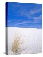 White Sands, New Mexico, USA-Rob Tilley-Stretched Canvas