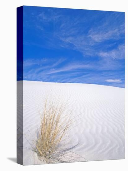 White Sands, New Mexico, USA-Rob Tilley-Stretched Canvas