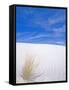 White Sands, New Mexico, USA-Rob Tilley-Framed Stretched Canvas