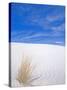 White Sands, New Mexico, USA-Rob Tilley-Stretched Canvas