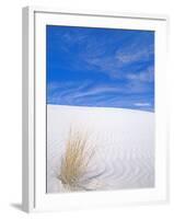 White Sands, New Mexico, USA-Rob Tilley-Framed Premium Photographic Print