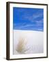 White Sands, New Mexico, USA-Rob Tilley-Framed Premium Photographic Print