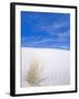 White Sands, New Mexico, USA-Rob Tilley-Framed Premium Photographic Print