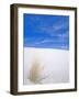 White Sands, New Mexico, USA-Rob Tilley-Framed Photographic Print