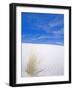 White Sands, New Mexico, USA-Rob Tilley-Framed Photographic Print