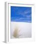 White Sands, New Mexico, USA-Rob Tilley-Framed Photographic Print