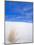 White Sands, New Mexico, USA-Rob Tilley-Mounted Photographic Print