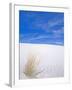 White Sands, New Mexico, USA-Rob Tilley-Framed Photographic Print