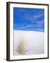 White Sands, New Mexico, USA-Rob Tilley-Framed Photographic Print