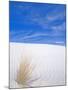 White Sands, New Mexico, USA-Rob Tilley-Mounted Photographic Print