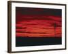 White Sands, New Mexico, USA-Dee Ann Pederson-Framed Photographic Print