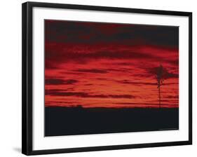 White Sands, New Mexico, USA-Dee Ann Pederson-Framed Photographic Print