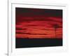 White Sands, New Mexico, USA-Dee Ann Pederson-Framed Photographic Print