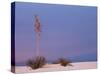 White Sands, New Mexico, USA-Dee Ann Pederson-Stretched Canvas