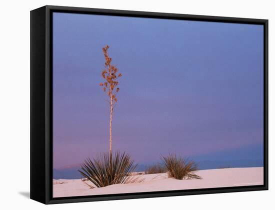 White Sands, New Mexico, USA-Dee Ann Pederson-Framed Stretched Canvas