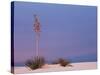 White Sands, New Mexico, USA-Dee Ann Pederson-Stretched Canvas