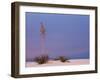 White Sands, New Mexico, USA-Dee Ann Pederson-Framed Photographic Print