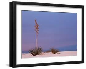 White Sands, New Mexico, USA-Dee Ann Pederson-Framed Photographic Print