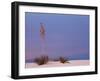 White Sands, New Mexico, USA-Dee Ann Pederson-Framed Photographic Print