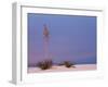 White Sands, New Mexico, USA-Dee Ann Pederson-Framed Photographic Print